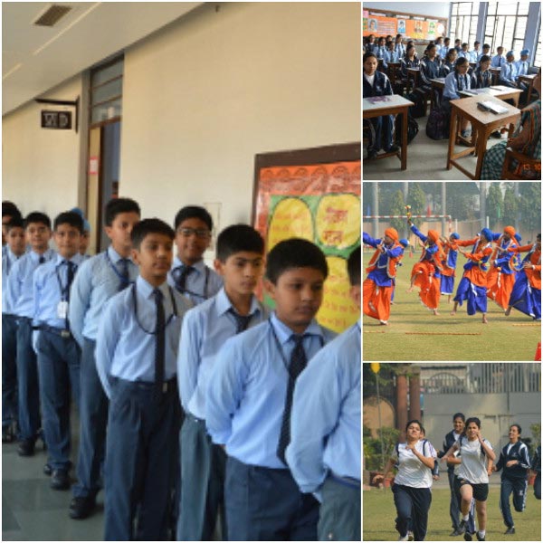 Discipline Collage
